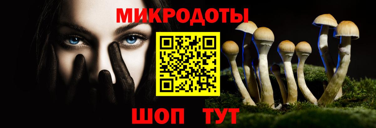 Галлюциногенные грибы прущие грибы Лабытнанги
